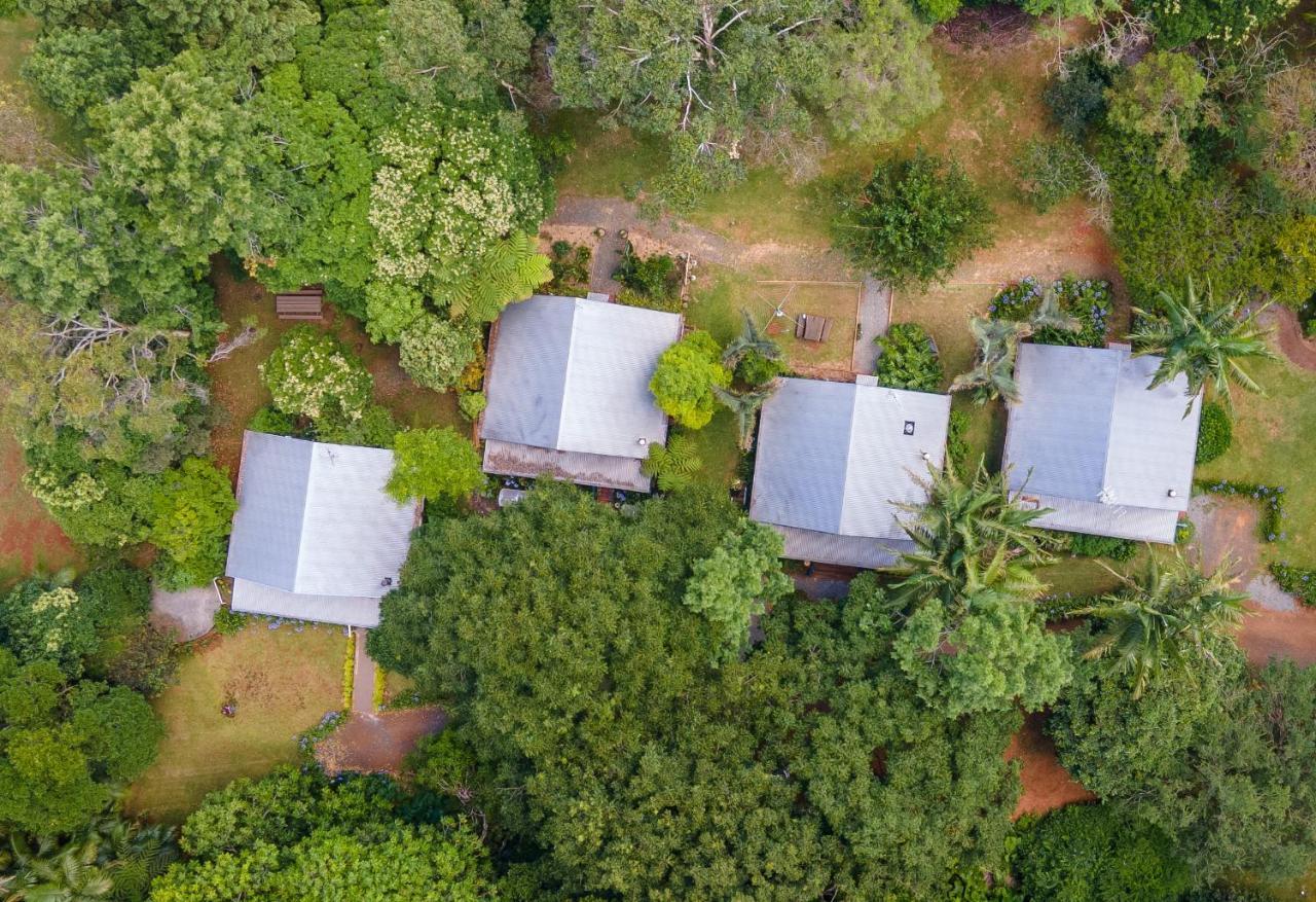 Romantic Cottage, Tamborine Mountain Exterior photo